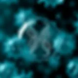 Diagram showing binary fission stages in a bacterial cell with DNA replication and division