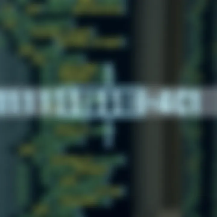 Diagram showing binary search dividing a sorted array to locate a target value efficiently