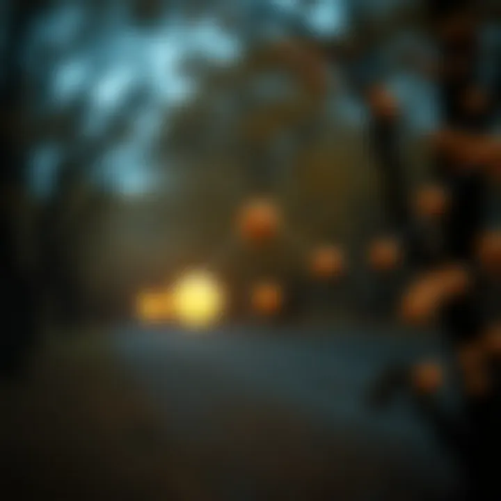 Diagram showing insertion of a new node in a binary search tree preserving order