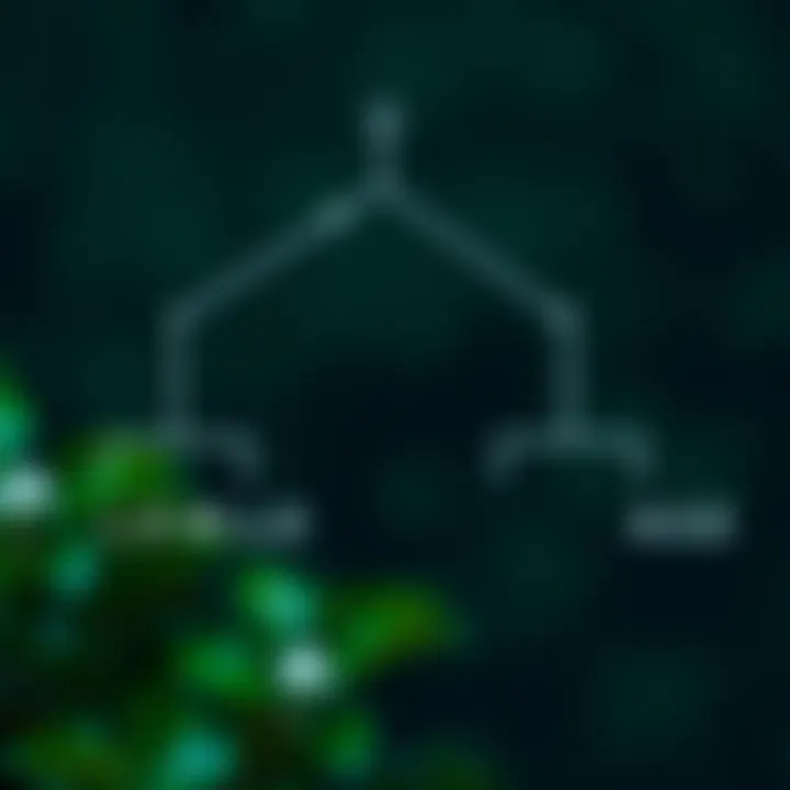 Common Traversal Techniques in Binary Trees Illustration of binary tree traversal methods including preorder, inorder, and postorder