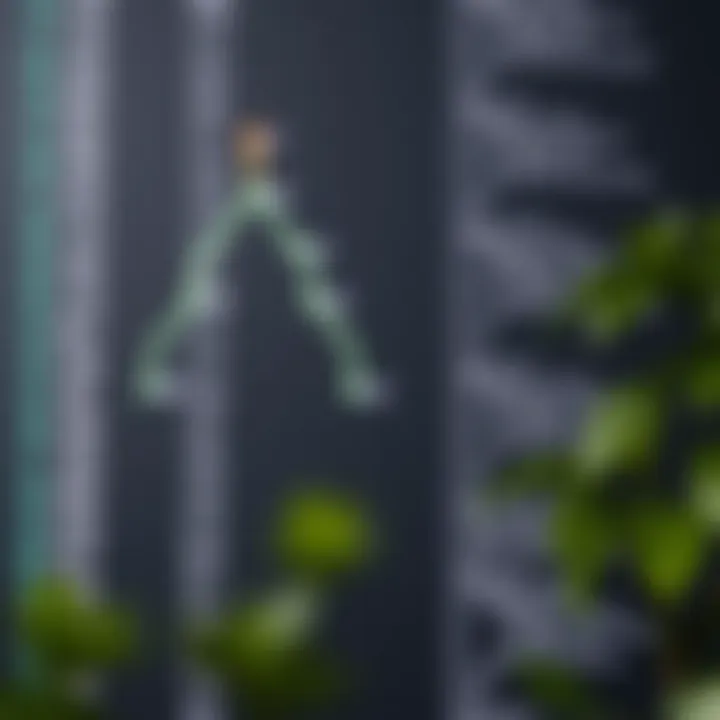 Visualization of level order traversal on a binary search tree highlighting nodes visited level by level from root to leaves