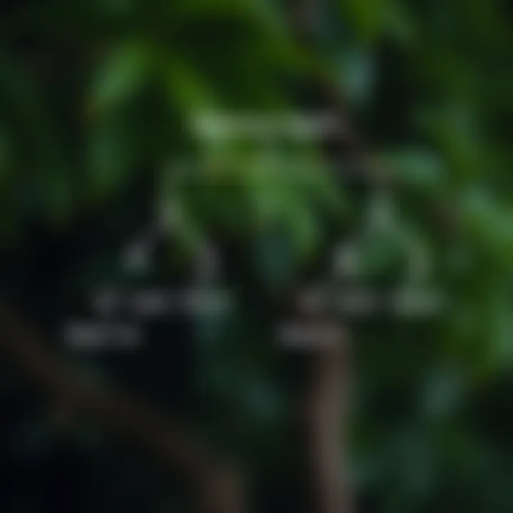 Diagram of a binary tree illustrating nodes and maximum depth from root to leaf