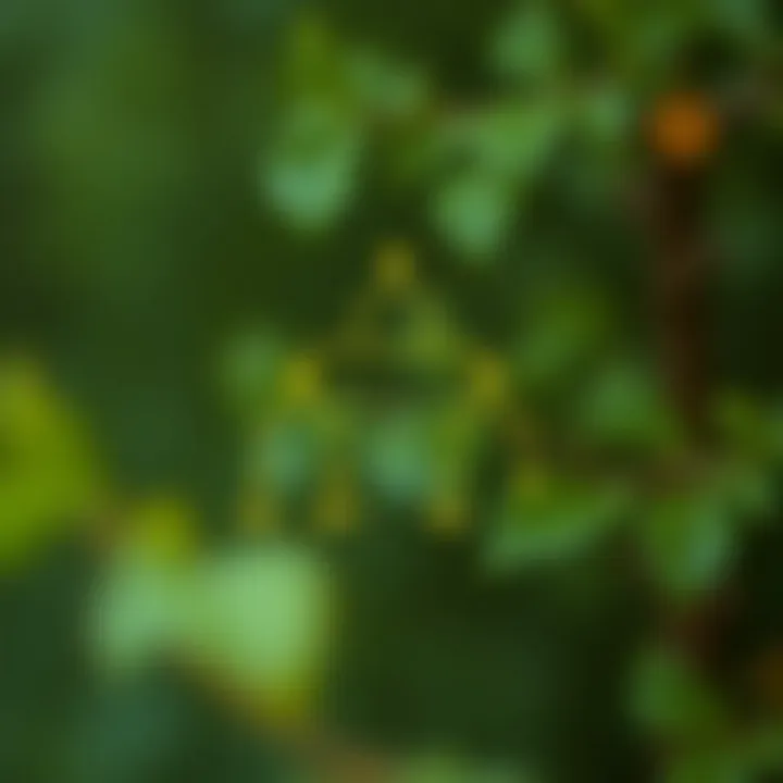 Diagram illustrating a binary tree with highlighted depth levels